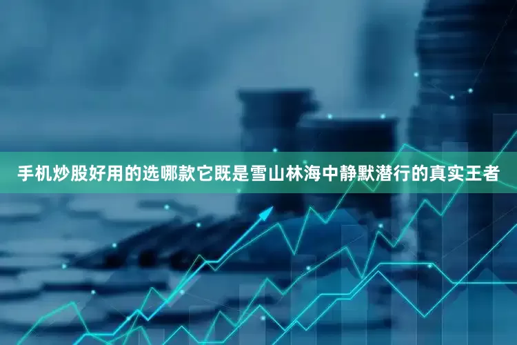 手机炒股好用的选哪款它既是雪山林海中静默潜行的真实王者